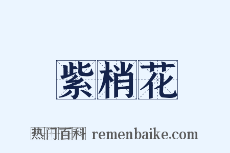 紫梢花是什么意思的图片
